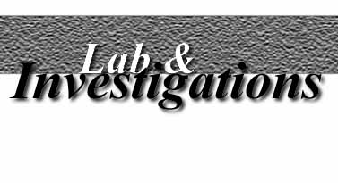 headinglab.JPG (15732 bytes)
