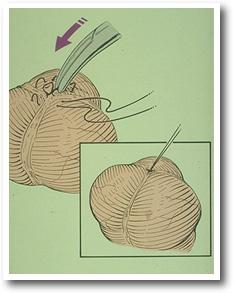 pursestring.JPG (12120 bytes)
