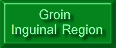 Groin_Inguinal_Region