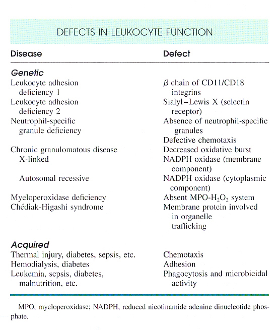 Inflammation_pic10.jpg 272.4K