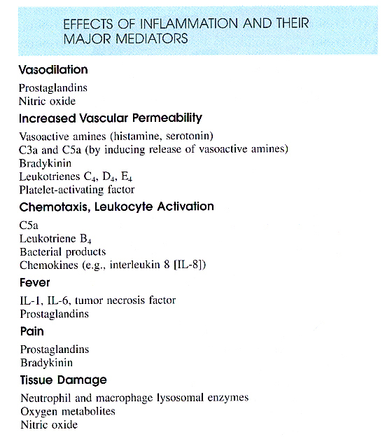 Inflammation_pic19.jpg 235.6K