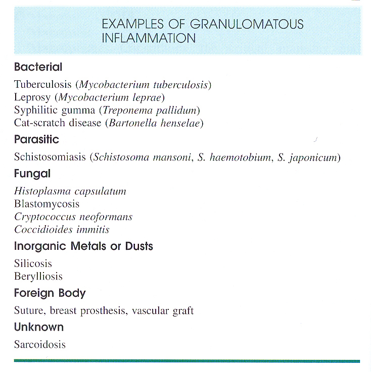 Inflammation_pic24.jpg 370.5K