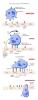 Inflammation_pic39.jpg 1.7K