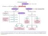 Inflammation_pic48.jpg 2.0K