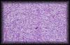 10caprostate2.jpg 2.4K