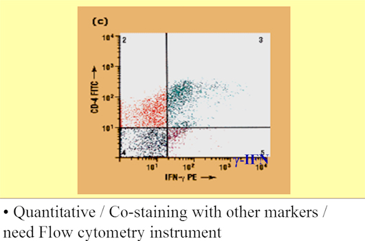 Intracellular Cytokine Staining (ICS) and staining with CD4+ marker
