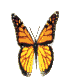 Butter8_2.gif (7456 bytes)
