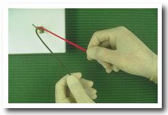 Onefirst1.jpg (20014 bytes)