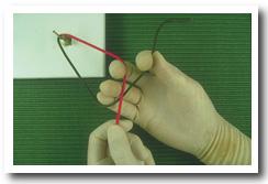 Onefirst5.jpg (20240 bytes)