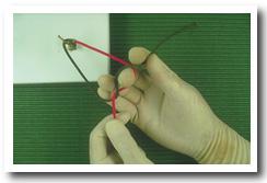 Onefirst6.jpg (19933 bytes)