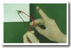 Onefirst7.jpg (20169 bytes)