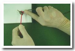 Onefirst8.jpg (19695 bytes)