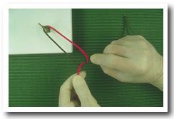 Onefirst9.jpg (19470 bytes)