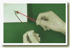 Onehandfirst.gif (259509 bytes)