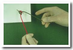 Onesecond1.jpg (19124 bytes)