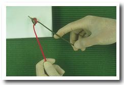 Onesecond2.jpg (19270 bytes)