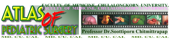 Atlas_of_Pediatric_Surgery