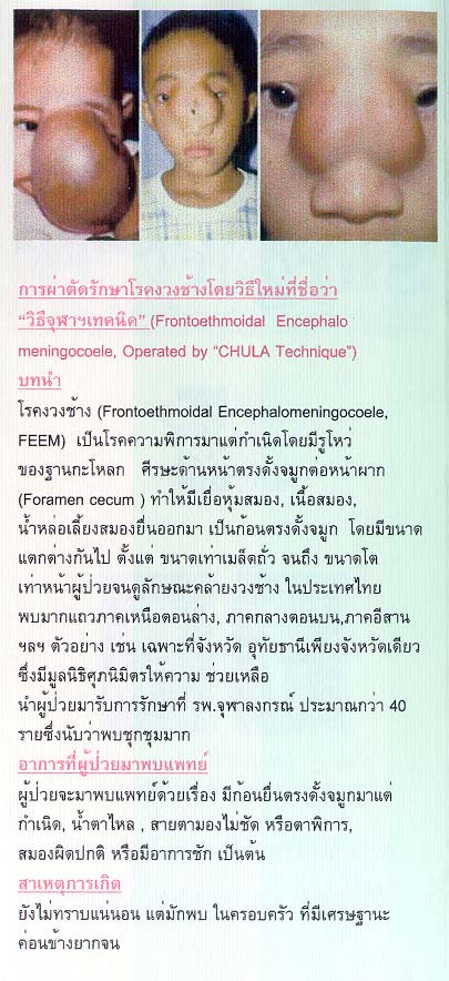 cutech02.jpg 265.3K