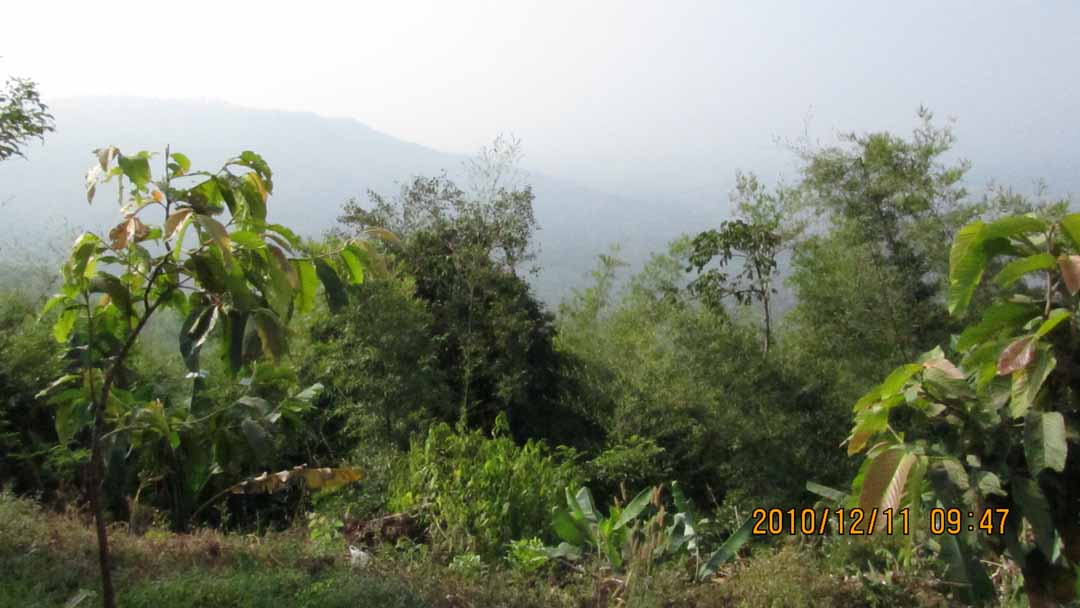 par_kep_tawan_10.JPG 85.6K