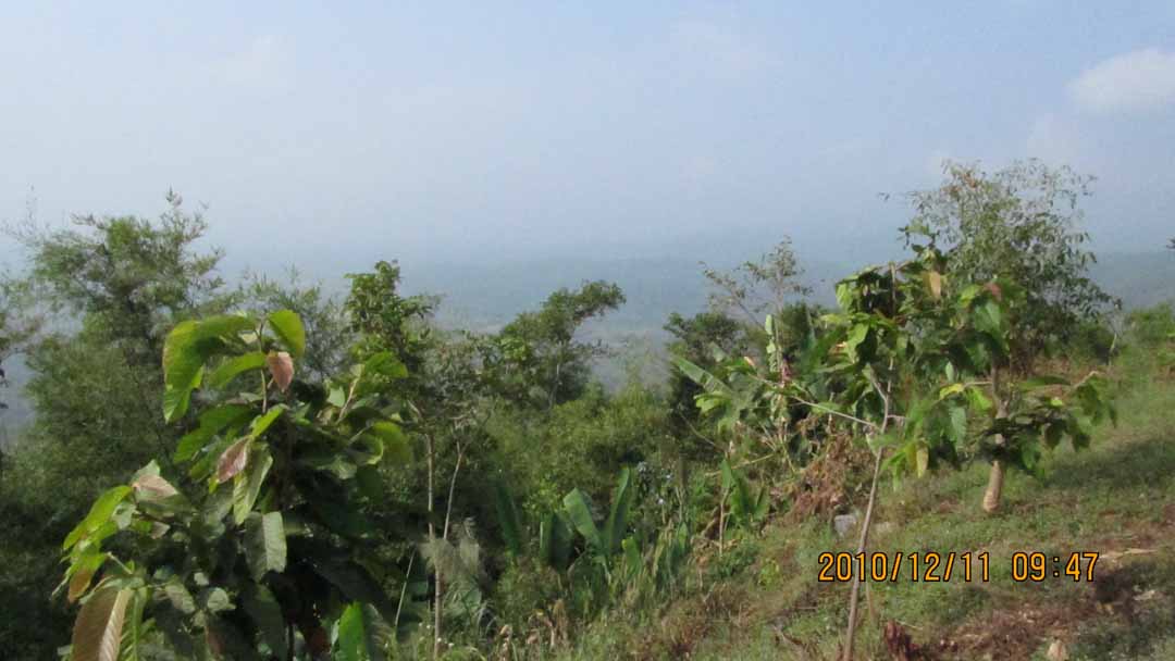 par_kep_tawan_11.JPG 77.3K