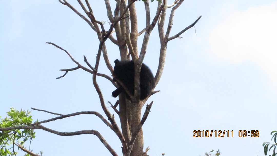 par_kep_tawan_17.JPG 64.1K