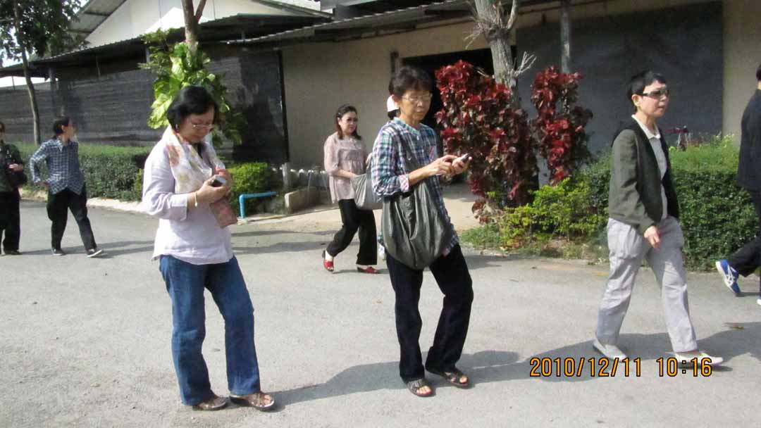 wangnamkeaw_farm_02.JPG 90.2K
