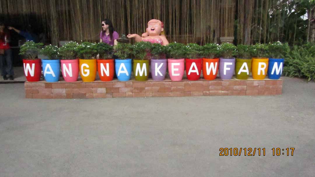 wangnamkeaw_farm_05.JPG 70.3K