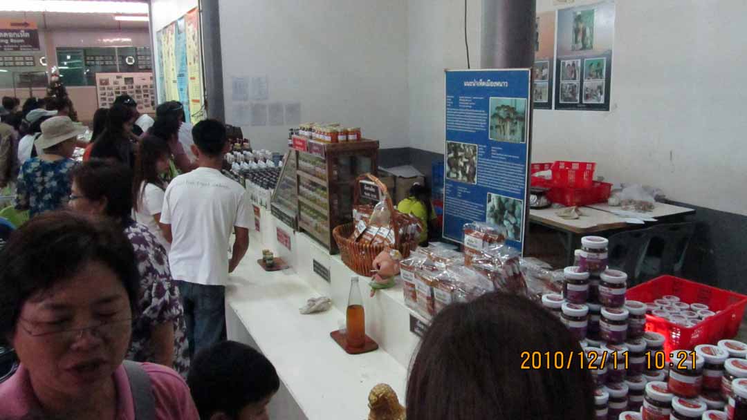 wangnamkeaw_farm_17.JPG 80.1K