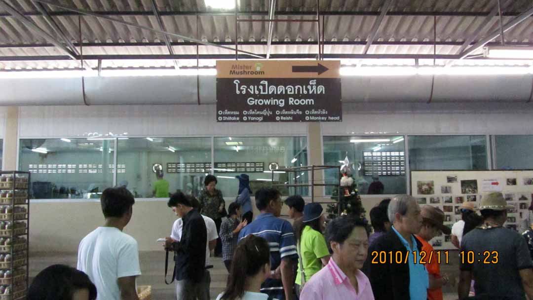 wangnamkeaw_farm_21.JPG 86.9K