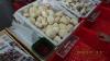 wangnamkeaw_farm_51.jpg 2.2K