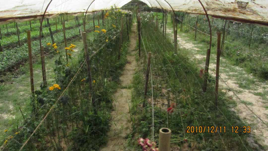 benjamarse_21.JPG 102.2K