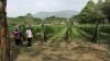 village_farm_29.jpg 2.1K