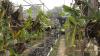 suchada_garden_24.jpg 2.5K