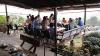 Imsook_dinner_11_49.jpg 2.7K
