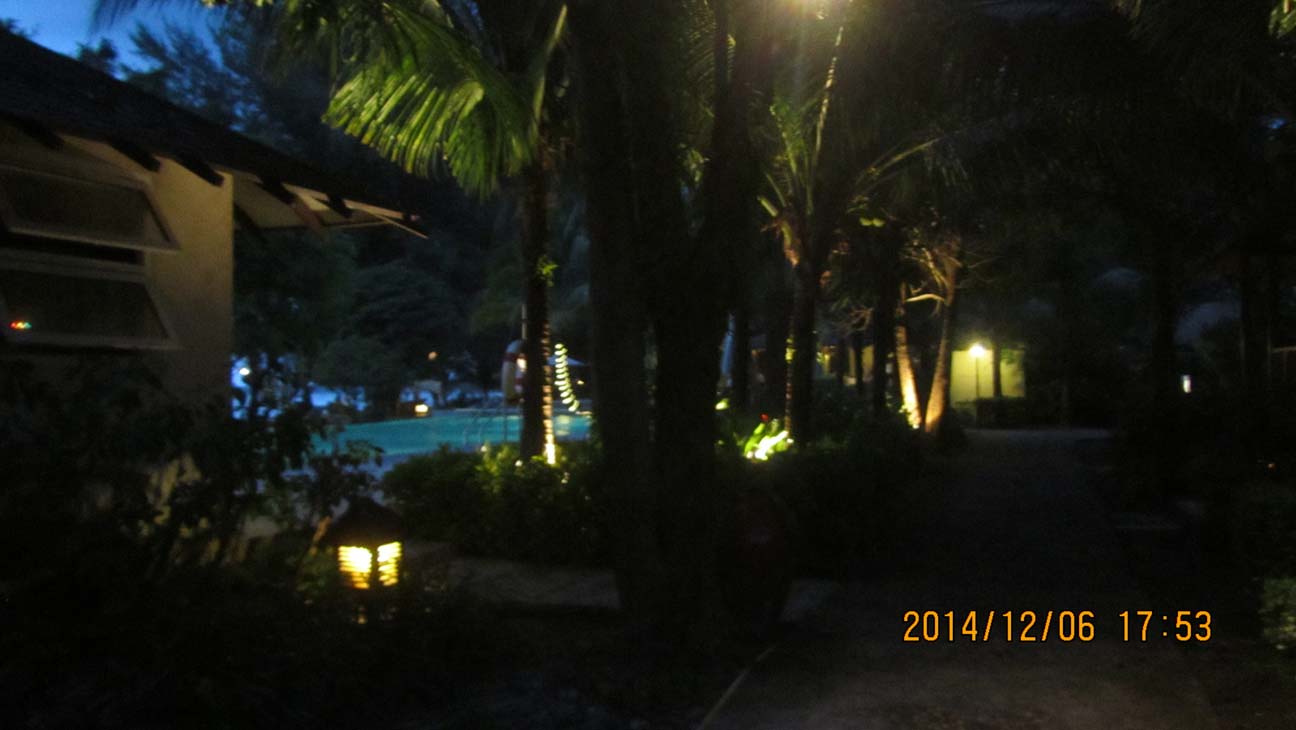 IMG_1385.JPG 83.2K