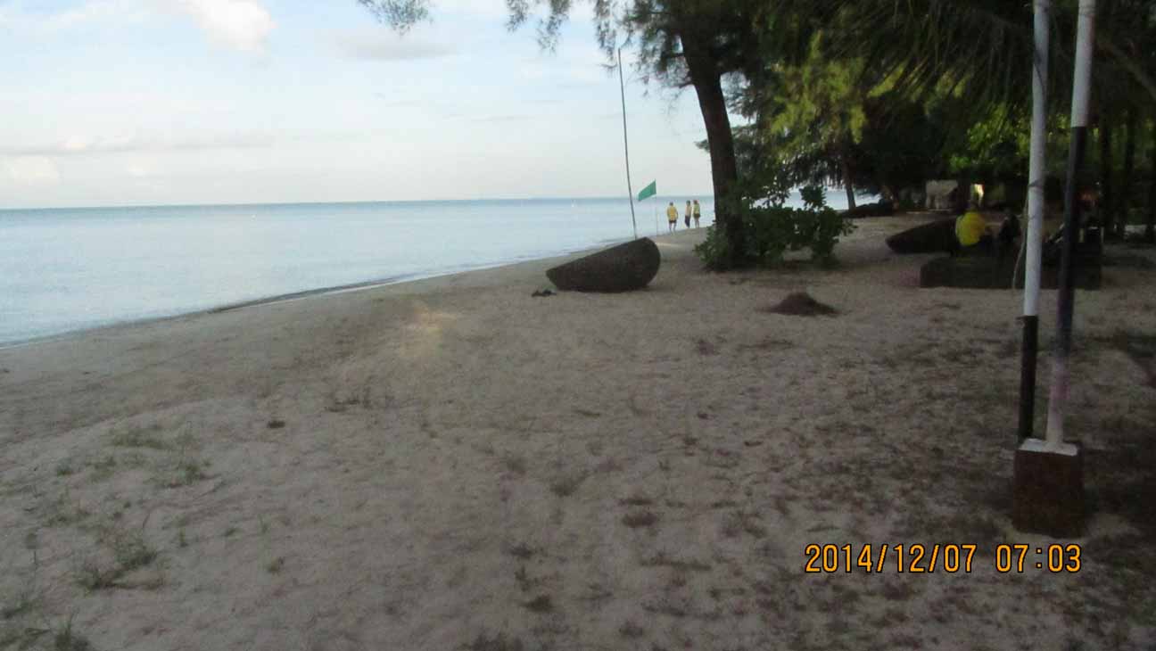 IMG_1438.JPG 73.5K