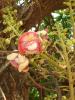 DSC00106.jpg 3.4K