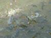 DSC00073.jpg 1.9K