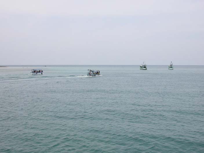 DSCN0923.JPG 49.6K