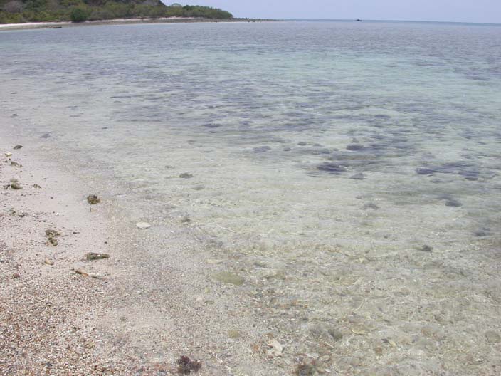 DSCN1004.JPG 86.2K