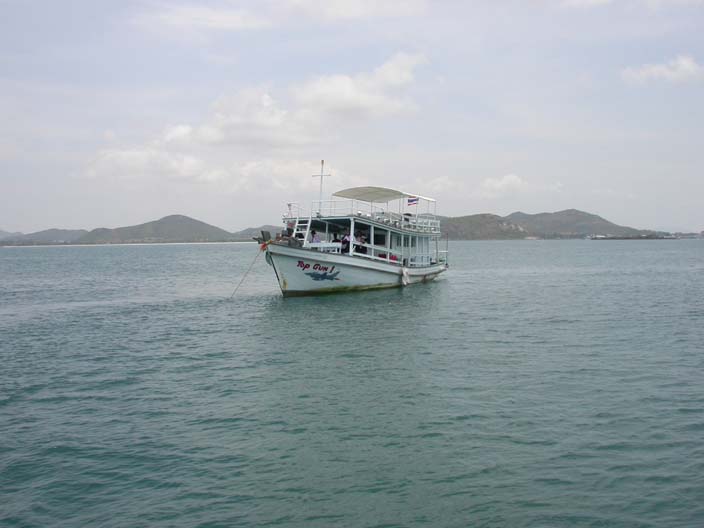 DSCN0950.JPG 52.3K