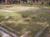 DSCN0776.jpg 2.5K