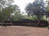 DSCN0783.jpg 2.5K
