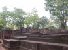 DSCN0787.jpg 2.6K