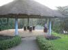 DSCN0835.jpg 2.4K