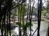 DSCN0908.jpg 3.6K
