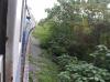 DSCN0968.jpg 2.7K