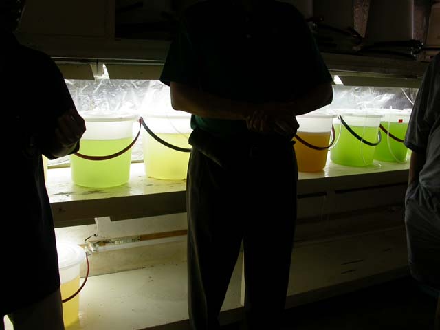 DSCN2540.jpg 41.1K