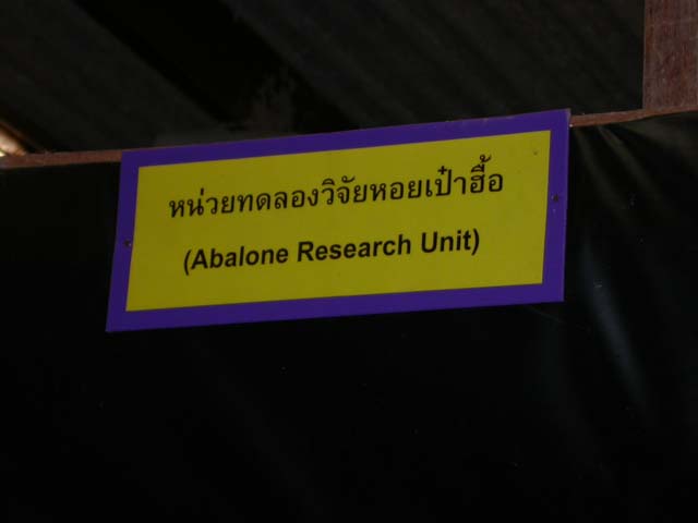 DSCN2547.jpg 30.1K